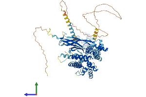 Protein Structure (PS) image for SEC63 Homolog (SEC63) (AA 1-760) protein (His tag) (ABIN7559921)