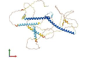 Protein Structure (PS) image for Microphthalmia-Associated Transcription Factor (MITF) (AA 1-526) protein (His tag) (ABIN7554603)