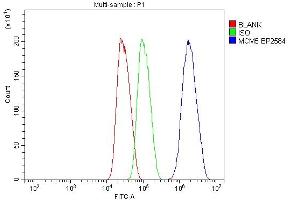 Flow Cytometry analysis of HEPG2 cells using anti-MCM5 antibody (ABIN7600582).