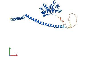 Protein Structure (PS) image for Spindle and Kinetochore Associated Complex Subunit 1 (SKA1) (AA 1-254) protein (His tag) (ABIN7560484)