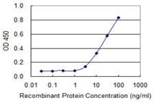 anti-Guanine Nucleotide Binding Protein (G Protein), Q Polypeptide (GNAQ) (AA 101-200) antibody