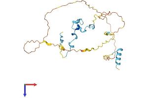 CDC42EP3 Protein (AA 1-254) (His tag)