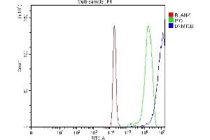 Flow Cytometry analysis of C6 cells using anti-DNMT3B antibody (ABIN7601041). (DNMT3B 抗体  (AA 271-853))