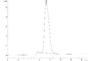 The purity of Human ECSCR is greater than 95 % as determined by SEC-HPLC.