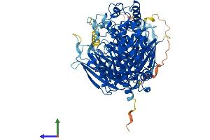 AlphaFold protein structure predicition of Human Recombinant PLA2G4D Protein, UniprotID Q86XP0