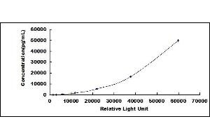 Receptor Tyrosine Kinase-Like Orphan Receptor 1 (ROR1) CLIA Kit