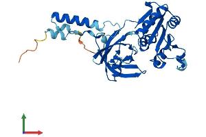 AlphaFold protein structure predicition of Human Recombinant CYB5RL Protein, UniprotID Q6IPT4