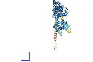 Protein Structure (PS) image for Potassium Voltage-Gated Channel, Delayed-Rectifier, Subfamily S, Member 1 (KCNS1) (AA 1-497) protein (His tag) (ABIN7562275)