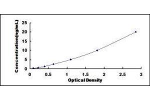 Growth Factor Receptor-Bound Protein 10 (GRB10) ELISA Kit