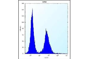 DNAJC9 Antibody (N-term) (ABIN656862 and ABIN2846067) flow cytometric analysis of Jurkat cells (right histogram) compared to a negative control cell (left histogram). (DNAJC9 抗体  (N-Term))