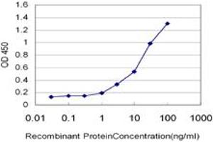 Detection limit for recombinant GST tagged TK1 is approximately 1ng/ml as a capture antibody. (TK1 抗体  (AA 1-234))