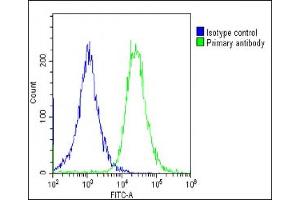 Overlay histogram showing HepG2 cells stained with (ABIN6244292 and ABIN6578679)(green line). (Transferrin 抗体  (AA 432-466))
