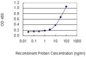 Detection limit for recombinant GST tagged MPO is 0. (Myeloperoxidase 抗体  (AA 646-745))