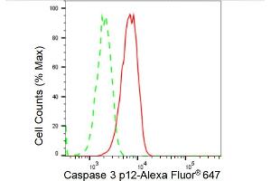 Flow cytometric analysis of Caspase 3 p12 expression in C2C12 cells using Caspase 3 p12 antibody (ABIN7797896), 1:2,000). (Recombinant Caspase 3 p12 抗体)