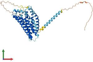 AlphaFold protein structure predicition of Human Recombinant GPR132 Protein, UniprotID Q9UNW8 (G Protein-Coupled Receptor 132 Protein (GPR132) (AA 1-380) (His tag))