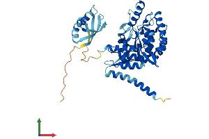 Protein Structure (PS) image for Tryptophan Hydroxylase 1 (TPH1) (AA 1-447) protein (His tag) (ABIN7562915)