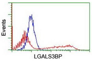 Image no. 2 for anti-Lectin, Galactoside-Binding, Soluble, 3 Binding Protein (LGALS3BP) (AA 19-300) antibody (ABIN1491078) (LGALS3BP 抗体  (AA 19-300))