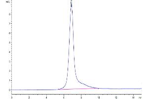 Size-exclusion chromatography-High Pressure Liquid Chromatography (SEC-HPLC) image for Podocalyxin-Like 2 (PODXL2) (AA 33-500) protein (His tag) (ABIN7275472)