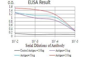 Black line: Control Antigen (100 ng), Purple line: Antigen(10 ng), Blue line: Antigen (50 ng), Red line: Antigen (100 ng), (CBX6 抗体  (AA 269-412))