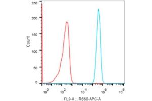 Flow cytometry: Raji cells were stained with Rabbit IgG isotype control (, 1 μg/mL, Red line) or CD70 Rabbit mAb (ABIN7266215, 1 μg/mL Blue line), followed by goat anti-Rabbit pAb APC (1:200 dilution) staining . (CD70 抗体)