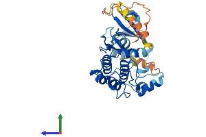 AlphaFold protein structure predicition of Human Recombinant PNCK Protein, UniprotID Q6P2M8