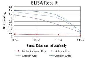Red: Control Antigen (100 ng), Purple: Antigen (10 ng), Green: Antigen (50 ng), Blue: Antigen (100 ng), (MSI1 抗体)