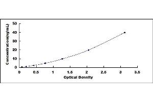 Typical standard curve (CHSY1 ELISA 试剂盒)