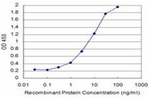 Detection limit for recombinant GST tagged SRPK1 is approximately 0. (SRPK1 抗体  (AA 371-470))