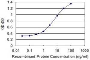 Detection limit for recombinant GST tagged PDE4C is 0. (PDE4C 抗体  (AA 1-99))