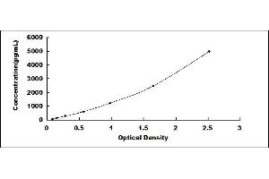 Typical standard curve (TP53I3 ELISA 试剂盒)