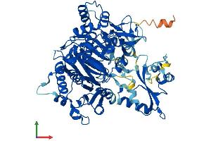 Protein Structure (PS) image for Acetoacetyl-CoA Synthetase (AACS) (AA 1-672) protein (His tag) (ABIN7560924)