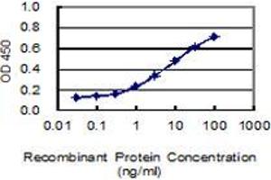 ELISA image for anti-Cell Adhesion Molecule with Homology To L1CAM (Close Homolog of L1) (CHL1) (AA 26-135) antibody (ABIN2565441)