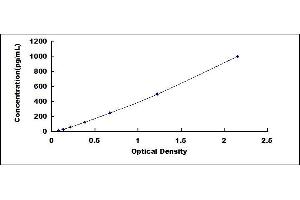 Typical standard curve (Cytokeratin 5 ELISA 试剂盒)