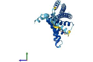 Protein Structure (PS) image for Peroxisomal Biogenesis Factor 11 alpha (PEX11A) (AA 1-246) protein (His tag) (ABIN7556403)