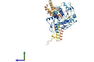 Protein Structure (PS) image for Zinc Finger Protein 596 (ZNF596) (AA 1-504) protein (His tag) (ABIN7545753)