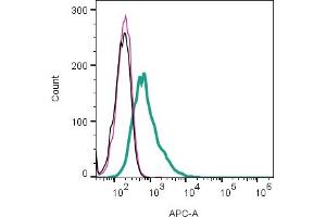 Cell surface detection of monocarboxylate transporter 1 by indirect flow cytometry in live intact human  MG glioma line:Cells.