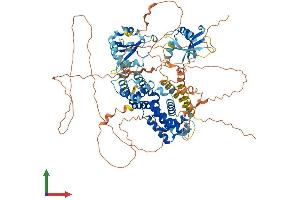 AlphaFold protein structure predicition of Mouse Recombinant Rin2 Protein, UniprotID Q9D684