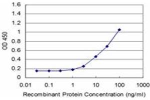 Detection limit for recombinant GST tagged EIF3S3 is approximately 1ng/ml as a capture antibody. (EIF3H 抗体  (AA 152-250))