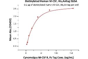 ELISA image for Colony Stimulating Factor 1 (Macrophage) (CSF1) (AA 33-255) (Active) protein (His tag,AVI tag,Biotin) (ABIN6386447)