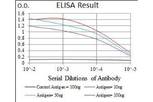 Black line: Control Antigen (100 ng), Purple line: Antigen(10 ng), Blue line: Antigen (50 ng), Red line: Antigen (100 ng), (PLAGL1 抗体  (AA 118-222))