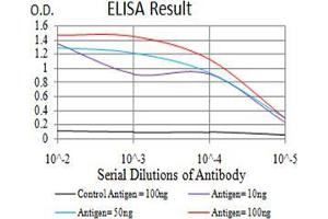 Black line: Control Antigen (100 ng);Purple line: Antigen (10ng); Blue line: Antigen (50 ng); Red line:Antigen (100 ng) (ARF1 抗体  (AA 76-182))