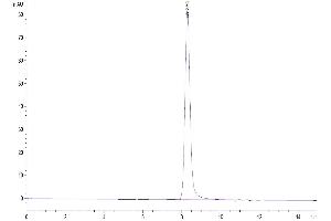 The purity of Mouse PSMP is greater than 95 % as determined by SEC-HPLC. (Microseminoprotein, Prostate Associated (MSMP) (AA 37-139) protein (Fc Tag))