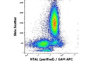 Flow cytometry intracellular staining pattern of human peripheral whole blood using anti-NTAL (NAP-07) purified antibody (concentration in sample 9 μg/mL, GAM APC). (LAT2 抗体  (Cytoplasmic Domain))