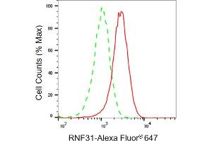 Flow cytometric analysis of RNF31 expression in HT- cells using RNF31 antibody (ABIN7800250), 1:2,000). (RNF31 抗体)