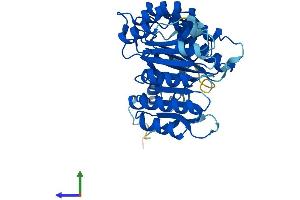 Protein Structure (PS) image for F-Box and Leucine-Rich Repeat Protein 8 (FBXL8) (AA 1-374) protein (His tag) (ABIN7547698)