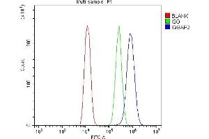 Flow Cytometry analysis of U20S cells using anti-IQGAP2 antibody (ABIN5692877). (IQGAP2 抗体  (AA 1329-1544))