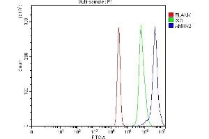 Flow Cytometry analysis of K562 cells using anti-AMHR2 antibody (ABIN4886456).