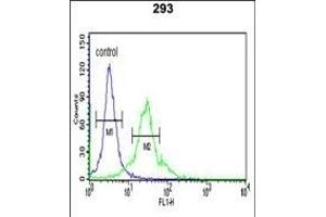 SPHK1 Antibody (C-term ) (ABIN652302 and ABIN2837969) flow cytometric analysis of 293 cells (right histogram) compared to a negative control cell (left histogram). (SPHK1 抗体  (C-Term))
