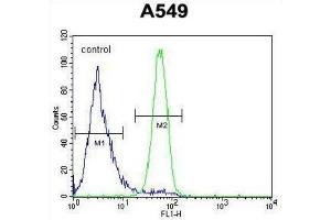 Flow Cytometry (FACS) image for anti-Follistatin-Like 1 (FSTL1) antibody (ABIN2995700) (FSTL1 抗体)