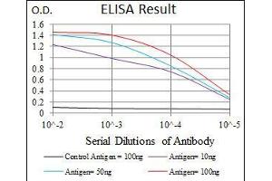 Black line: Control Antigen (100 ng), Purple line: Antigen(10 ng), Blue line: Antigen (50 ng), Red line: Antigen (100 ng), (ALPL 抗体)